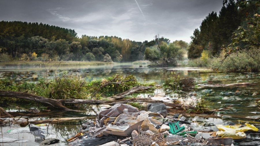 历史回顾，莱茵河水污染事故